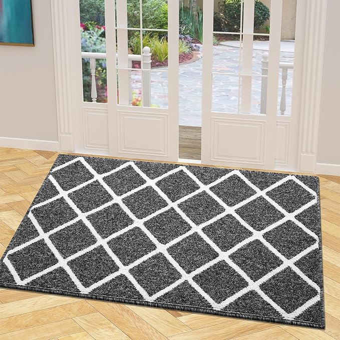 Finchitty Indoor Door Mat, Dirt Resistant and Absorbent, Low-Profile, Washable