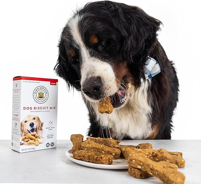 King Arthur Baking Company Dog Biscuit Mix, Pumpkin & Apple, Homemade Dog Treats, 12oz (Pack of 2)