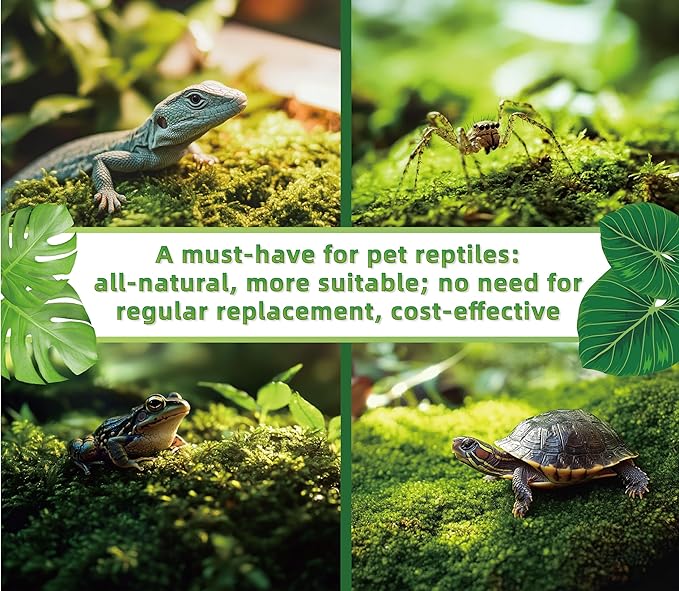 Live Moss for Reptiles - Terrarium Moss for Reptiles Peat Moss for Reptiles Habitat Bedding Moss for Snakes Turtle Frog Gecko and Other Reptiles Substrate 50 Square inches Live Moss