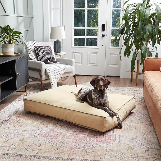 South Pine Porch Buddy Reversible Rectangle Pillow Style Microfiber Dog Bed with Removable, Machine-Washable Cover, Cream, Large (48 in. x 36 in.)