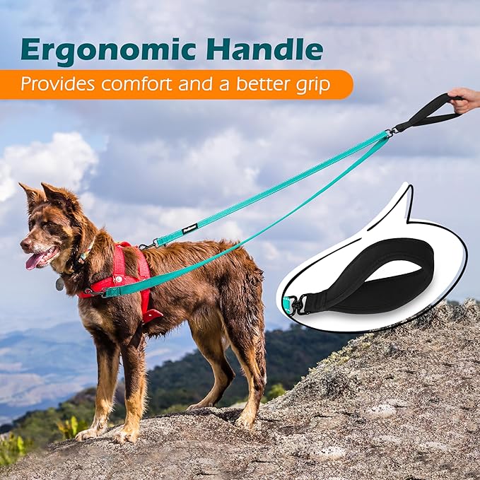 PetBonus Two Point Control Dog Leash, Works with No Pull Harnesses, No Tangle Training Leashes, Soft Padded and Reflective Walking Lead, Converts to Single Lead for Medium Large Dogs (Turquoise)