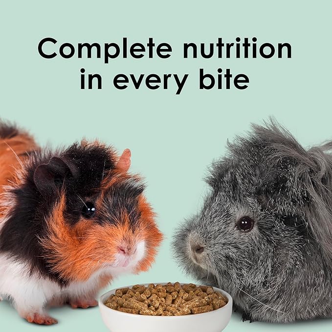Kaytee Timothy Complete Guinea Pig Food, Made with Timothy Hay, High in Fiber, Supports Dental Health and Digestion, Long-lasting Vitamin C, 5 pounds