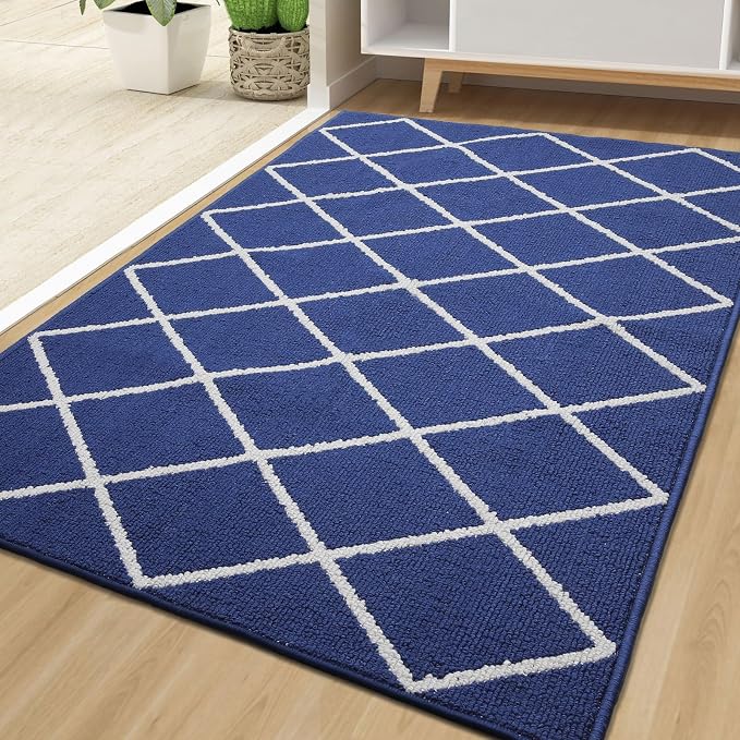Finchitty Indoor Door Mat, Dirt Resistant and Absorbent, Low-Profile, Washable