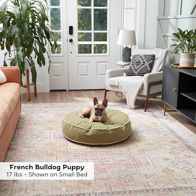 Happy Hounds Scout Round Reversible Pillow Dog Bed, Small (30" x 30"), Fern