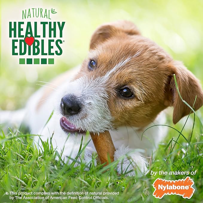 Nylabone Healthy Edibles Natural Dog Chews, Long Lasting Bones for Dogs, Chicken Flavor Dog Treats, Small (3 Count)