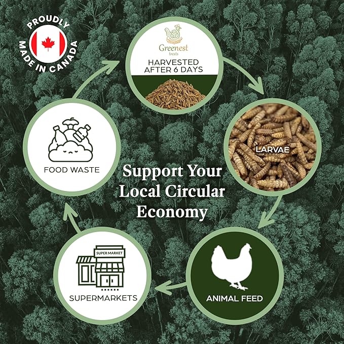 Dried Black Soldier Fly Larvae Chicken Bulk - for Hens, Duck, Wild Birds, Lizard, Tortoise, Fish - All Natural High Protein Dried Mealworms Alternative - Made in North America