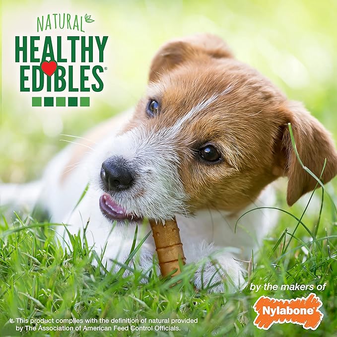 Nylabone Healthy Edibles Natural Dog Chews, Long Lasting Bones for Dogs, Turkey & Apple Flavor Dog Treats, Small (4 Count)