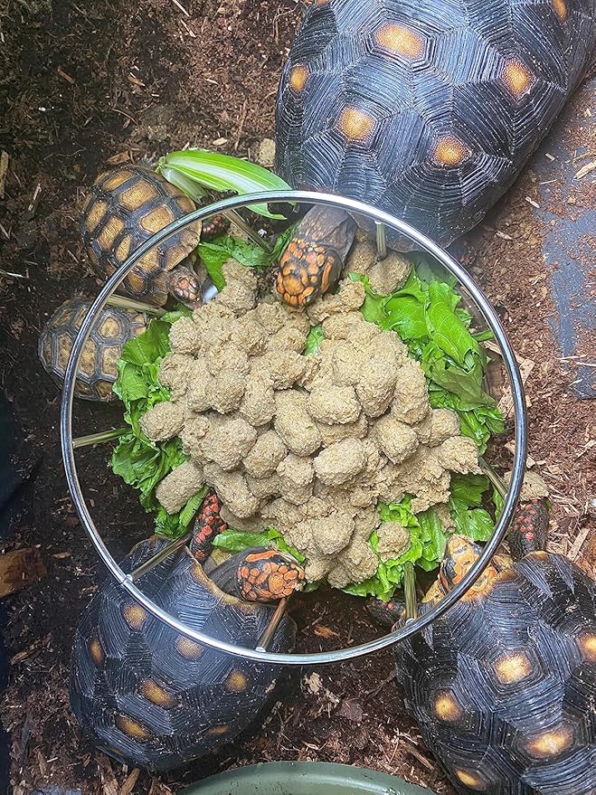Wontee Tortoise Feeding Dish Reptile Water Dish Food Bowl Stainless Steel Feeder for Tortoises Lizards Turtles Chameleon (S)