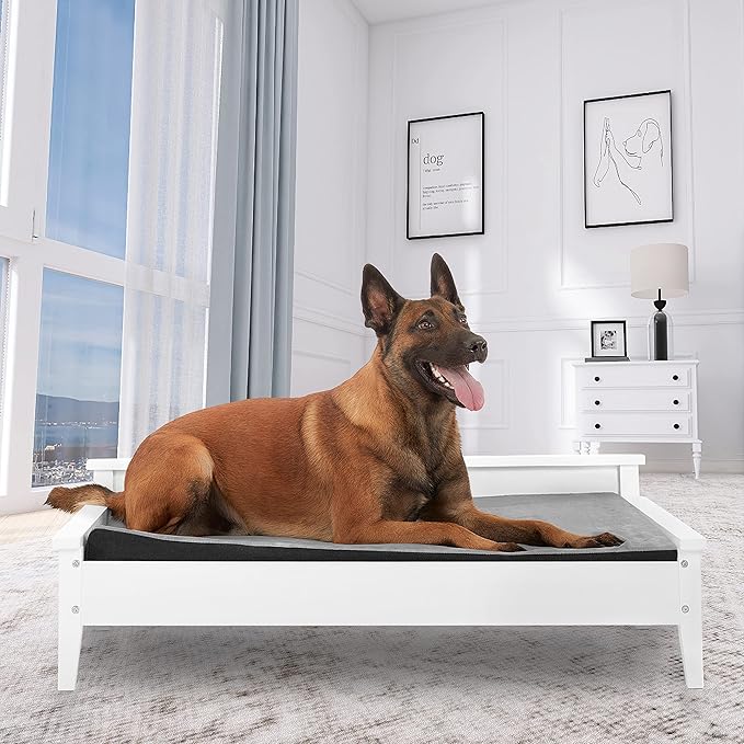 Wooden Dog Bed with Water-Resistant Mattress, Larget to Extra Large Elevated Pet Bed with Calming Pet Mattress, Greenguard Gold Certified, Modern Dog Couch, Winston - TailZzz