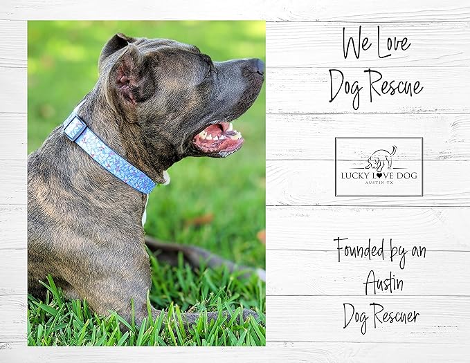 Lucky Love Dog - Adjustable Dog Collar with Easy Click Buckle for Small Dogs, Durable, & Comfortable for Male & Female Dogs, Pet Collar for Puppies & Adult Ones - Winterblue, XS