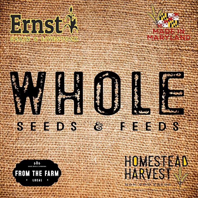 Ernst Grain Cracked Corn, Non-GMO – Perfect Feed for Ducks, Squirrels, Chickens, Ducks, Deer, Rabbits, Geese, and More! (10 lb)