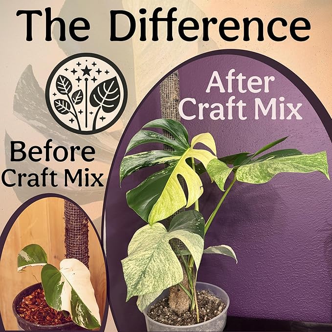 Craft Aroid Potting Mix- Elite Organic Alocasia, Philodendron, Monstera Soil Mix, Chunky, Well Draining Potting Soil for Indoor Plants, All Tropical Plants & Houseplants, Sustainable & Peat Free 1QT