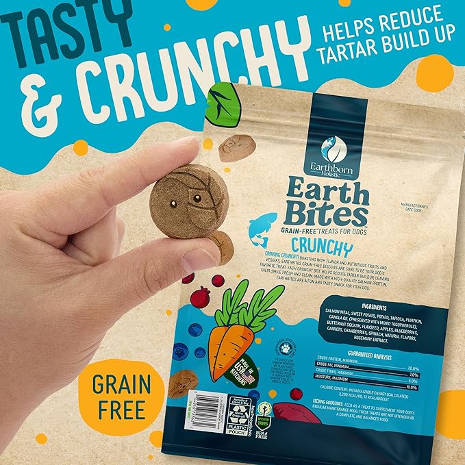 Earthborn Holistic EarthBites Crunchy Grain-Free Dog Treats with Salmon 10 oz