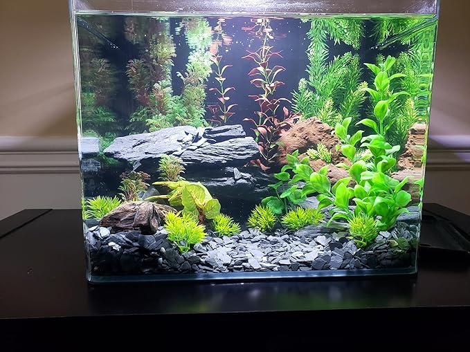 Small World Slate & Stone Aquarium Gravel 6lbs - Natural Substrate for Aquascaping Planted, Freshwater and Saltwater Tanks - Grey - Gravel Size Approx. 1/4"-1/2" (6 lbs)