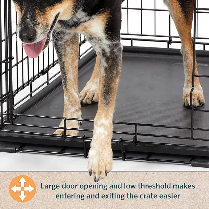 MidWest Homes for Pets Intermediate LifeStages Single Door 36-Inch Folding Dog Crate, Enhanced Security, Includes Leak-Proof Pan, Divider Panel, Handle, Rubber Feet