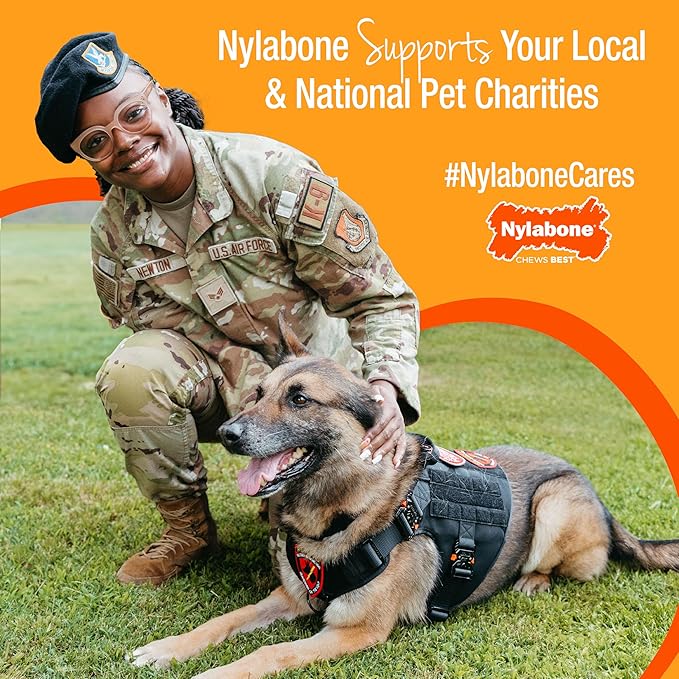 Nylabone Healthy Edibles Natural Dog Chews Long Lasting Roast Beef Flavor Treats for Dogs, Small/Regular (2 Count) (Pack of 2)