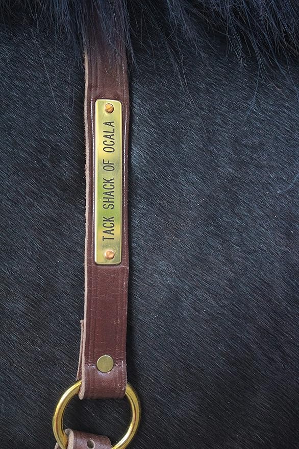 Neck Straps with Custom Engraved Name Plate for Horse| Pony, Horse, Yearling, and Adjustable Light Brown Leather with Brass Plate Optional