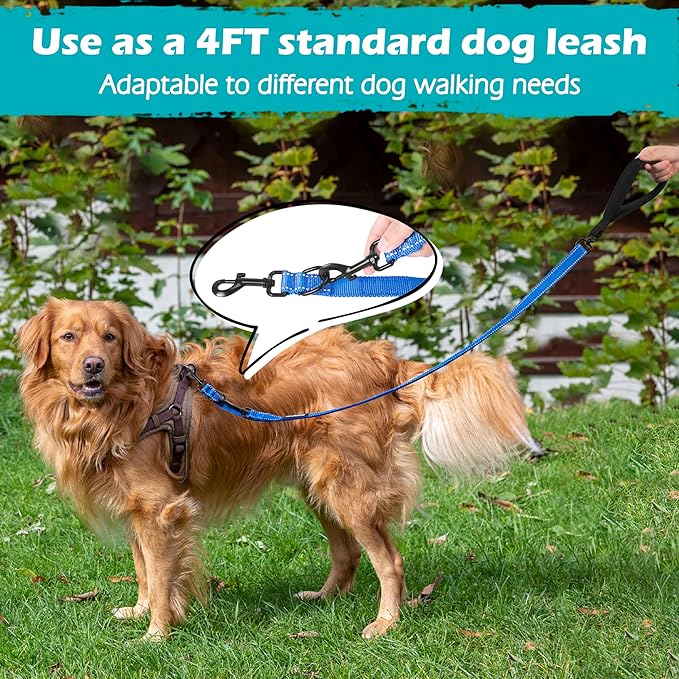 PetBonus Two Point Control Dog Leash, Works with No Pull Harnesses, No Tangle Training Leashes, Soft Padded and Reflective Walking Lead, Converts to Single Lead for Medium Large Dogs (Blue)