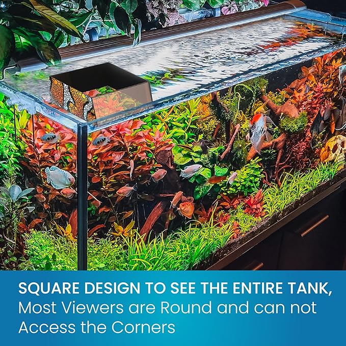 Flipper Ultra Clear Aquarium Top Down Underwater Viewer with Removable Orange Filter for Coral and Fish Observation - Aquarium Filter with Unique Artwork Box - Ideal for Color Coral and Reef Pictures