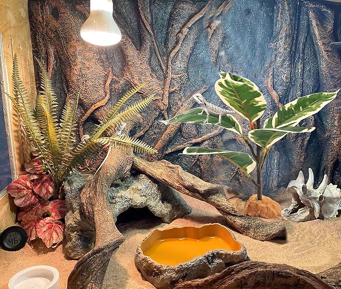 Woyrise Reptile Plants for Terrarium, 9" Fake Rubber Tree Ball Python Tank Accessories Habitat Decor fit Crested Gecko Leopard Bearded Dragon Lizard Chameleon Snake - Ficus Elastica Tineke