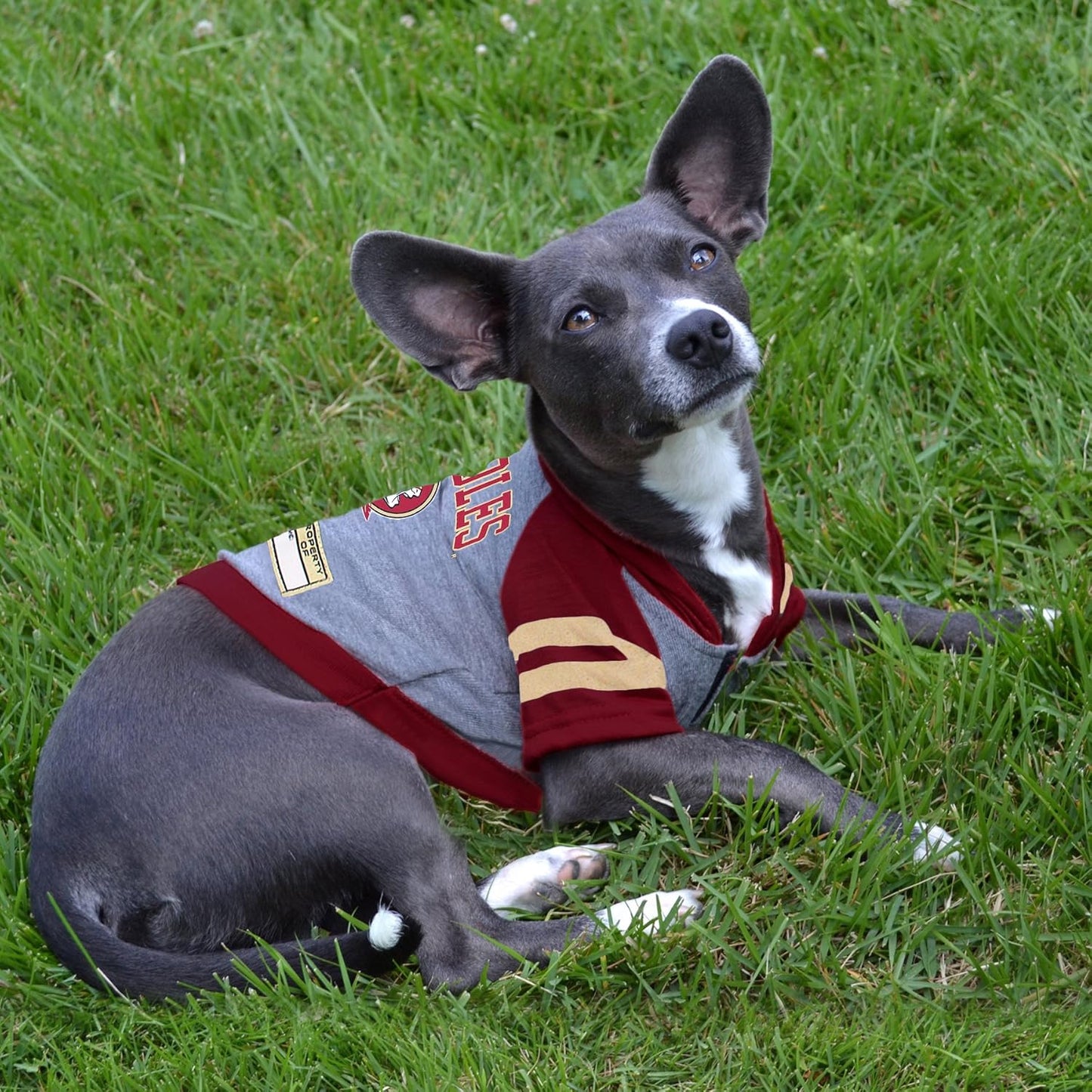 Pets First Hoodie for Dogs & Cats, X-Small. | Collegiate Licensed Dog Hoody Tee Shirt | Sports Hoody T-Shirt for Pets | College Sporty Dog Hoodie Shirt.