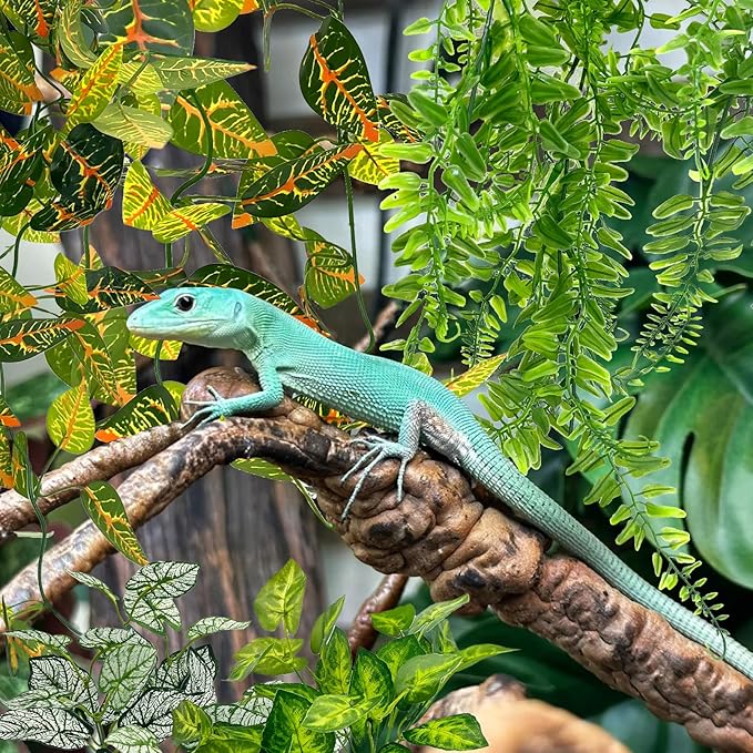 Hamiledyi 5 Pcs Reptile Plants Terrarium Hanging Fake Plant Leaves, Bearded Dragon Tank Accessories, Habitat Decor for Snake Leopard Gecko Lizard Chameleon Spider Turtle (Style 3)