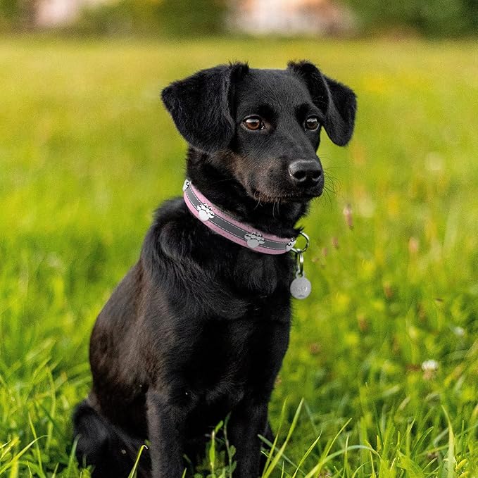 PETCARE Reflective Dog Collar with Cute Paw Rivet Studded Funny Soft PU Leather Adjustable Puppy Dog Collars for Small Medium Large Dogs Cats (Pink,X-Large)