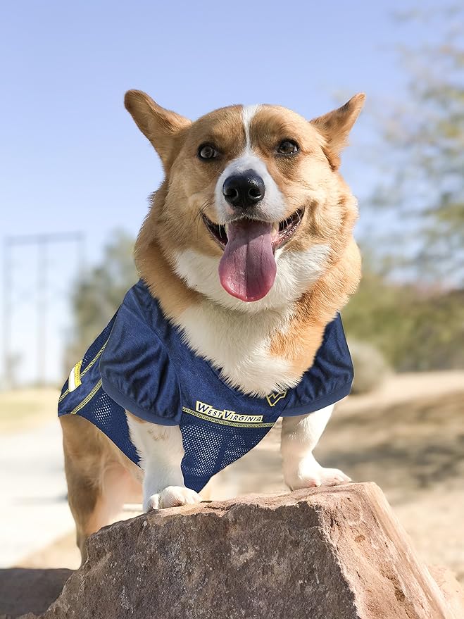 Pets First NCAA College West Virginia Mountaineers Mesh Jersey for DOGS & CATS, XX-Large. Licensed Dog Jersey with your Favorite Football/Basketball College Team