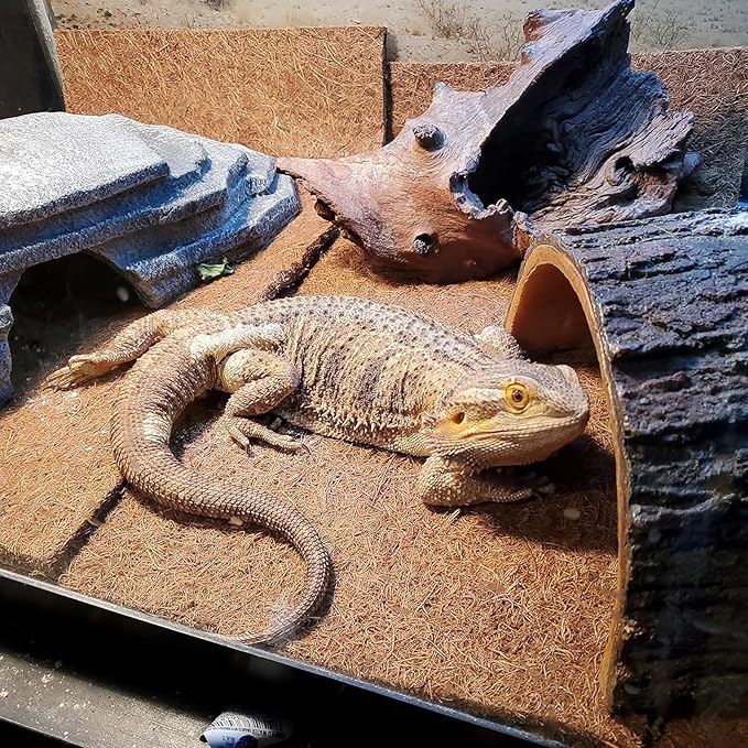 PINVNBY 4 Pieces Reptile Carpet,Bearded Dragon Natural Coconut Fiber Mat,Lizard Terrarium Liner Pads,Tortoises Bedding Supplies for Gecko Snake Chameleons(4 Sheets / 19.7x11.8x0.4inches)
