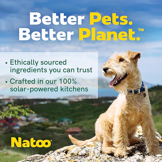 NATOO Biscuits for Small Dogs & Puppies - Crunchy Treats Coconut & Mango – Healthy Natural Dog Biscuits, Rich in Omega 6, Prebiotics & Fiber, Antioxidants for Immunity (8 oz)
