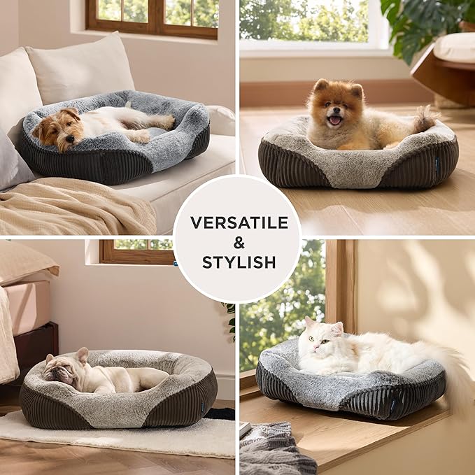Bedsure Donut Medium Dog Bed and Washable Dog Bed