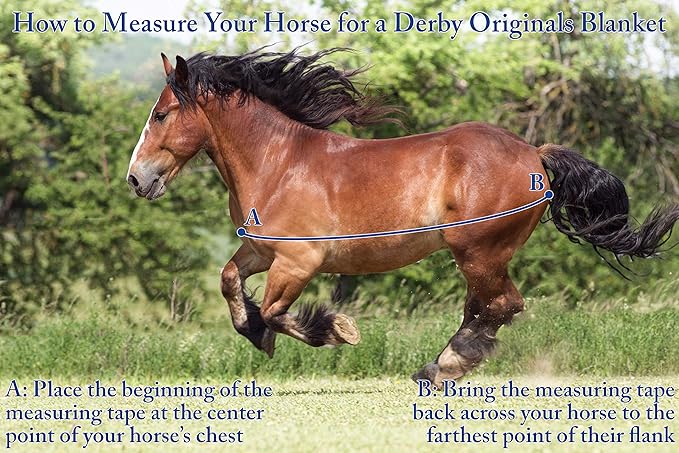 Derby Originals Nordic Tough 1200D Ripstop Waterproof Reflective Winter Horse Turnout Blanket 300g Heavy Weight, Chocolate Brown, 84"