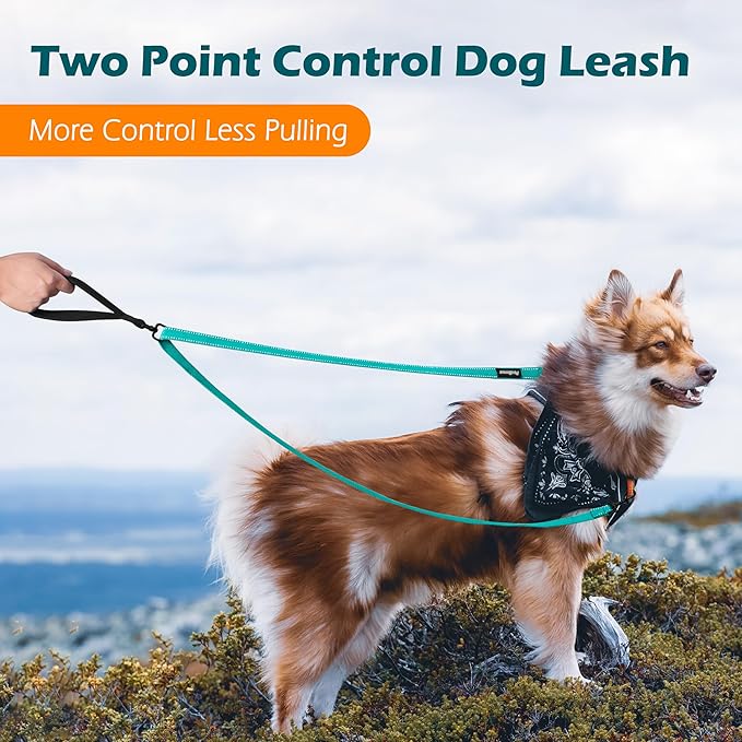 PetBonus Two Point Control Dog Leash, Works with No Pull Harnesses, No Tangle Training Leashes, Soft Padded and Reflective Walking Lead, Converts to Single Lead for Medium Large Dogs (Turquoise)