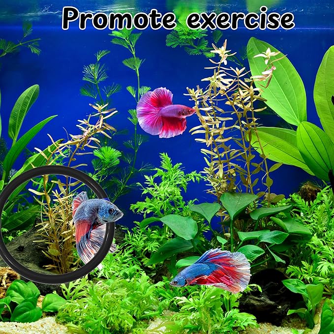 Betta Ring and Mirror Toy for Aquarium, 2 pcs Betta Ring Enrichment Toys, Floating Exercise Mirrors for Fish Tank and Training Feeding Rings, Fish Toys, Aquarium Accessories (Black, M-Heart)