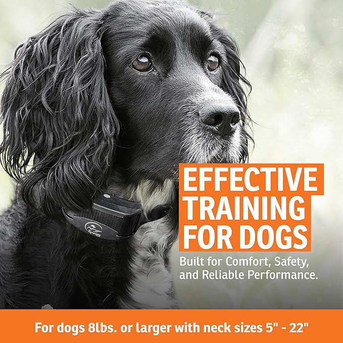 SportDOG Brand® YardTrainer 100S Remote Trainer - Shock Collar for Stubborn Dogs - Train with Tone, vibrate, or Static
