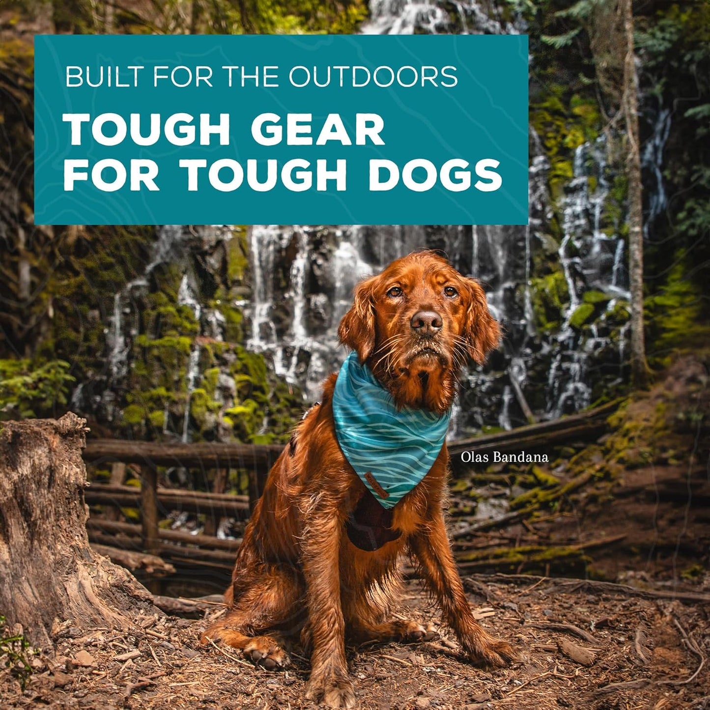 Wilderdog Dog Bandana with Lightweight Quick Drying Poly-Blend Mesh Material in Americana