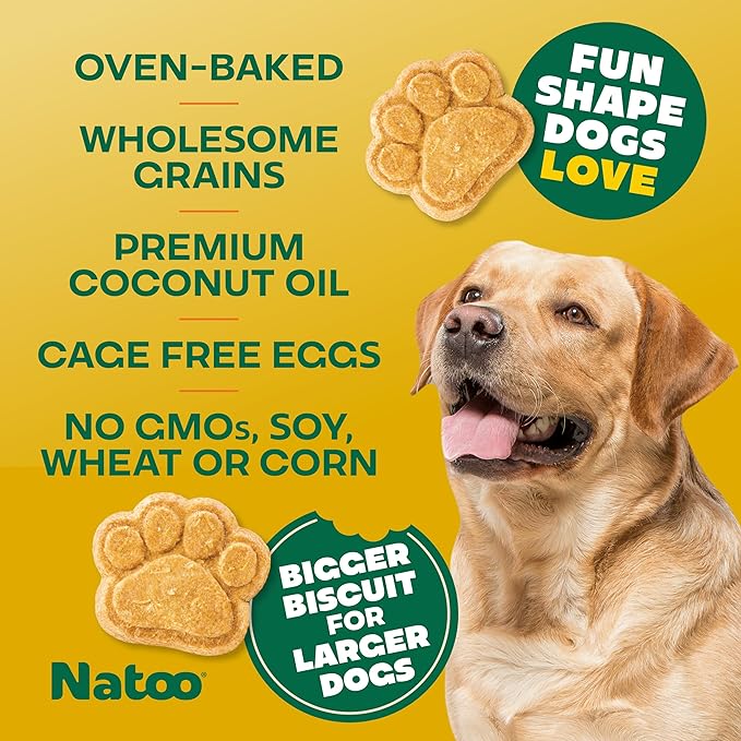 NATOO Healthy Treats for Large Dogs, Crunchy Biscuits Coconut & Mango Flavor – Natural Dog Treats, Rich in Omega 6, Prebiotics & Fiber, Antioxidants for Immunity (8 oz)