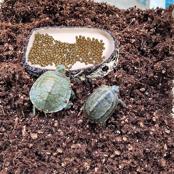 Tfwadmx Reptile Water Bowl, Reptile Feeding Dish, Bearded Dragon Water Dish, Turtle Feeding Bowl for Tortoises, Snakes, Lizards, Geckos, Chameleons