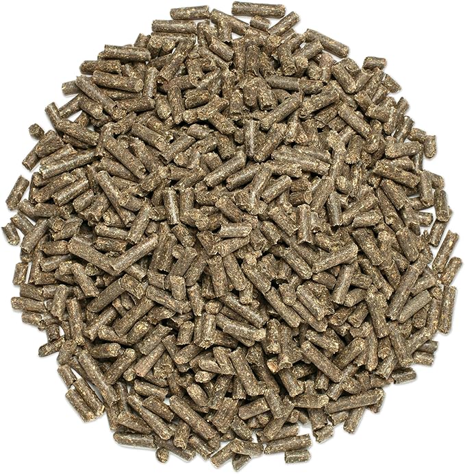 SmartEquine EquiBase Grass Pellets | Horse Vitamins & Minerals Supplement | Forage Balancer | Horses in Light to Moderate Work | 15 lb Bucket