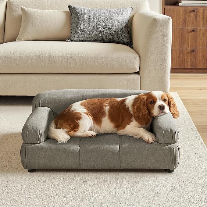 Marcel Upholstered Modern Pet Bed for Small & Medium Dogs and Cats, Sofa-Style Dog Bed with Bolstered Arms, Tufted Cushion, Water & Stain Resistant Velvet (Uptown Gray)