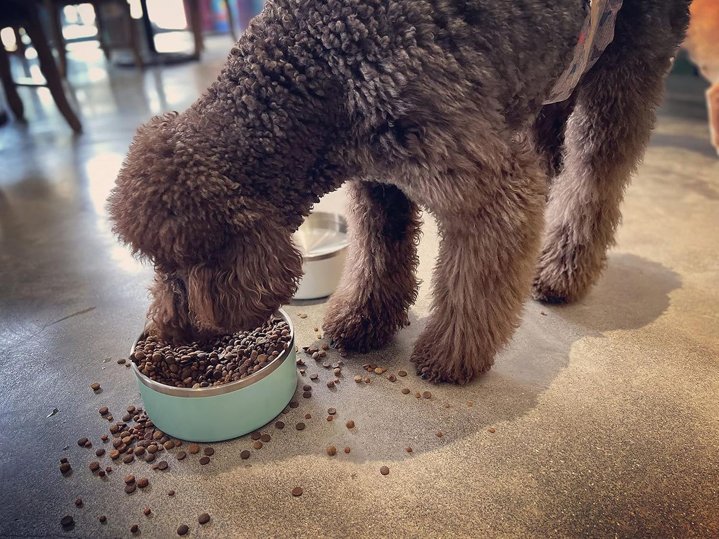 IKITCHEN Dog Bowl for Food and Water, 64 Oz Stainless Steel Pet Feeding Bowl, Durable Non-Skid Double Wall Insulated Heavy Duty with Rubber Bottom for Medium Large Dogs (64 Ounces/8 Cup, MintGreen)