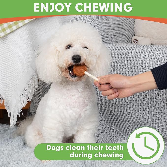 MON2SUN Lollipop Dog Treats, 4.5 Inch Chicken and Egg with Rawhide Twist Sticks, Healthy and Teeth Cleaning Snacks for Small Dogs, 10.58oz (15 Count-Pack of 2)