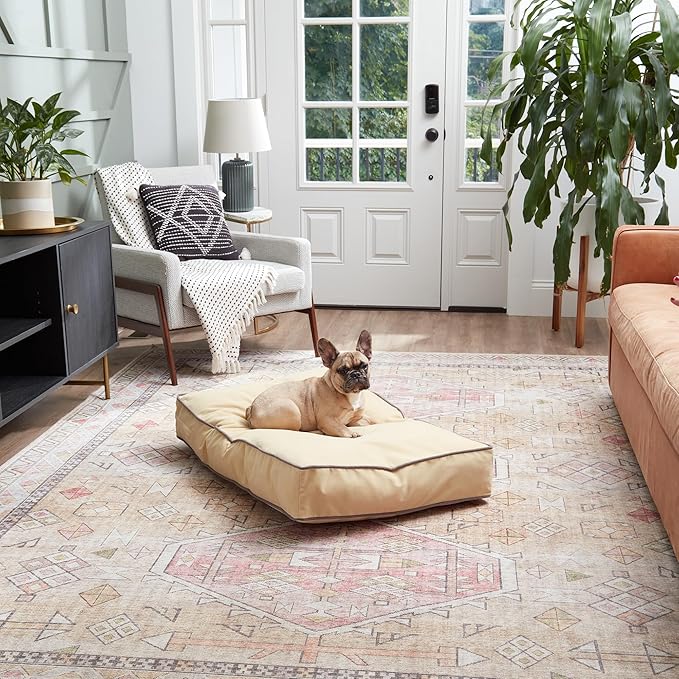 South Pine Porch Buddy Reversible Rectangle Pillow Style Microfiber Dog Bed with Removable, Machine-Washable Cover, Cream, Small (36 in. x 24 in.)