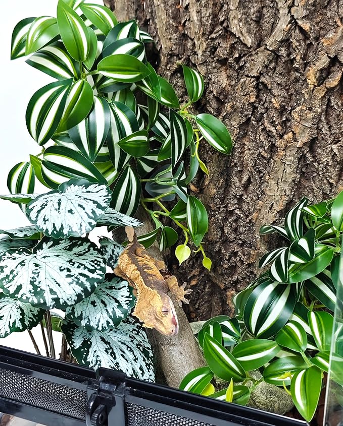 Woyrise Reptile Plants, Terrarium Hanging Plant Vines, Artificial Leaves with Suction Cup, Bearded Dragon Tank Accessories for Gecko Lizard Snake Frog Tortoise Decorations - Zebrina Green