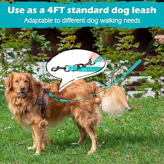 PetBonus Two Point Control Dog Leash, Works with No Pull Harnesses, No Tangle Training Leashes, Soft Padded and Reflective Walking Lead, Converts to Single Lead for Medium Large Dogs (Turquoise)