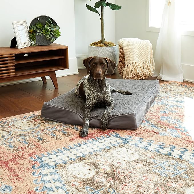 Happy Hounds Oscar Rectangle Orthopedic Foam Sherpa Dog Bed, Medium (42 x 30 in.), Pewter