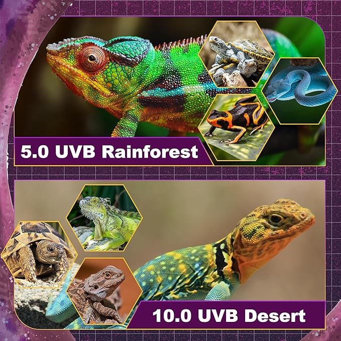 T5 HO UVB Lighting Combo Kit, 24W Reptile Light Fixture with Fluorescent Light Bulbs, Tropical 5.0 UVB Light for Reptiles and Amphibians, Basking Light for Bearded Dragon, High Output Natural Light