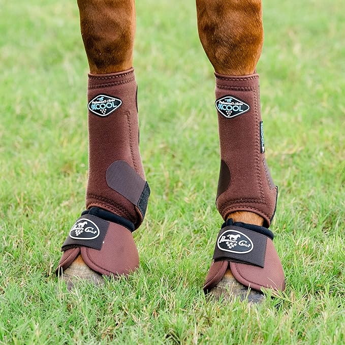Professional's Choice 2XCOOL Sports Medicine Horse Boots | Protective & Breathable Design for Ultimate Comfort, Durability & Cooling in Active Horses | 2 Pack Large Chocolate
