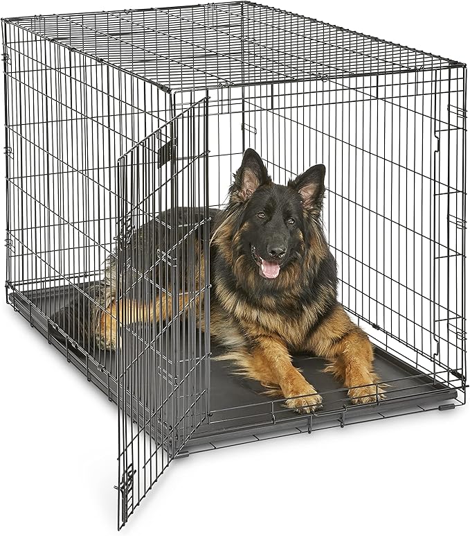 MidWest Homes for Pets 48-Inch iCrate for Extra-Large Breeds, 90-110 lbs, Single Door Folding Dog Crate with Divider Panel, Leak-Proof Tray & Secure Latches, Portable, Durable & Easy to Assemble