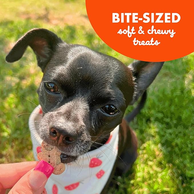 Buddy Biscuits Softies 8 oz Pouch, Soft & Chewy, Natural Peanut Butter Flavor Dog Treats, Oven Baked in The USA